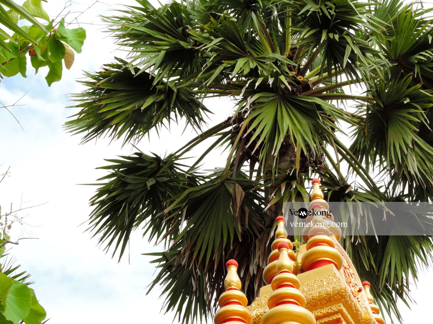 Khleang Pagoda – Things to Do & See in Soc Trang