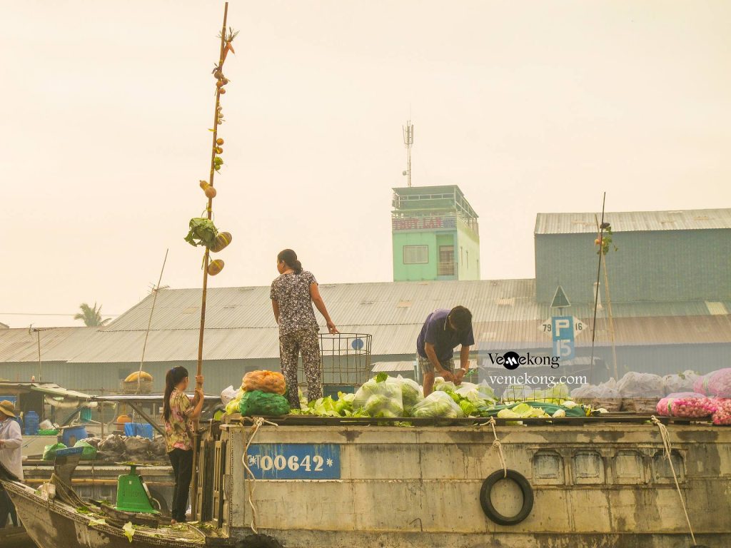 cai rang floating market day tour