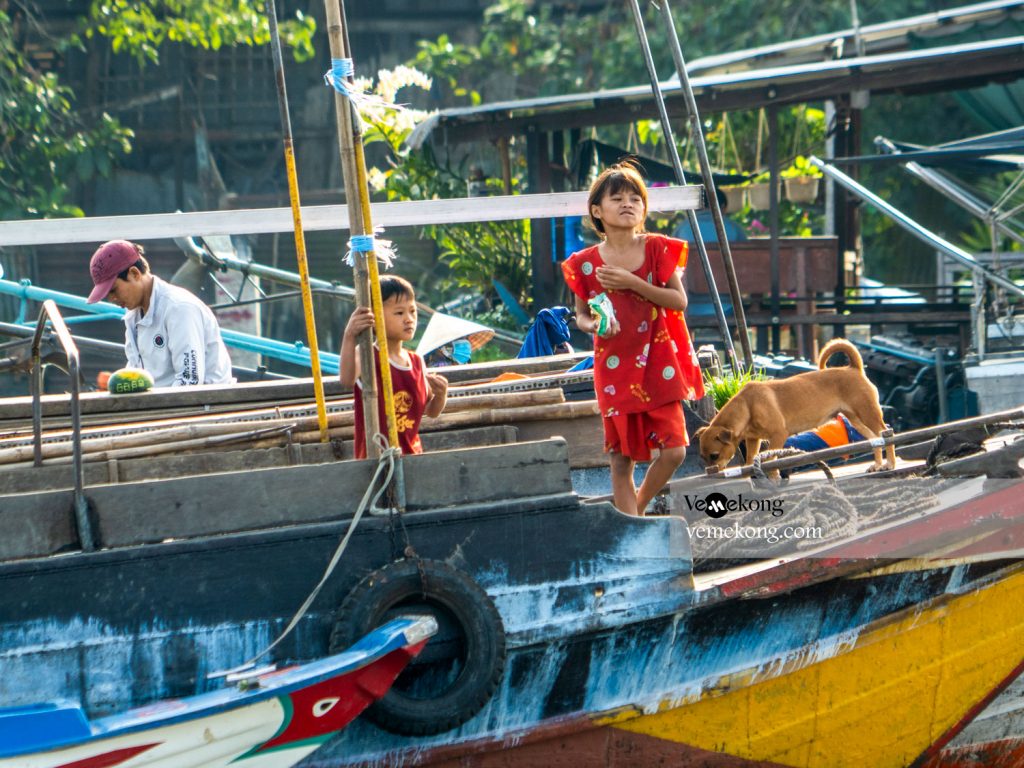 cai rang floating market day tour