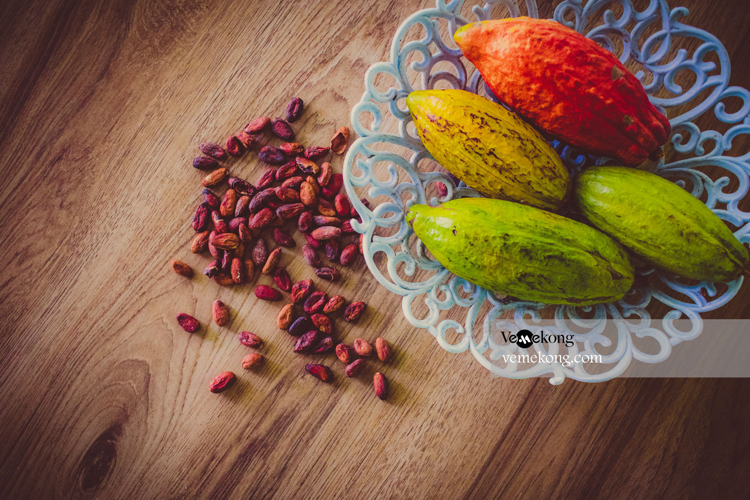 Muoi Cuong Cacao Farm – Official Can Tho Visitor Guide