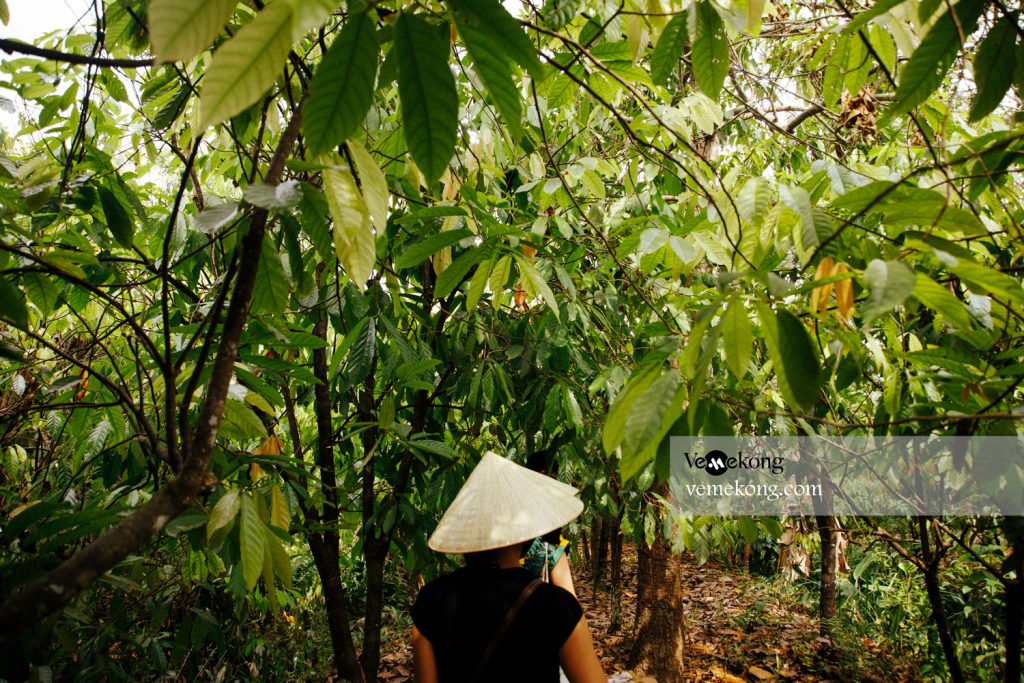 farm tour vietnam