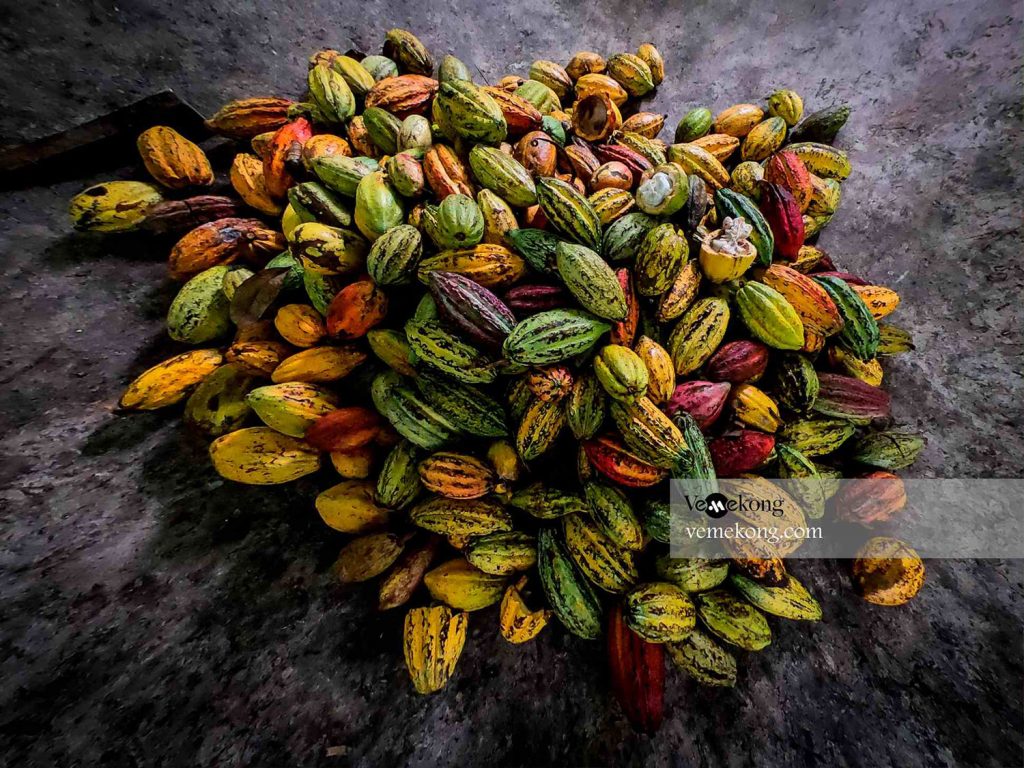 farm tour vietnam