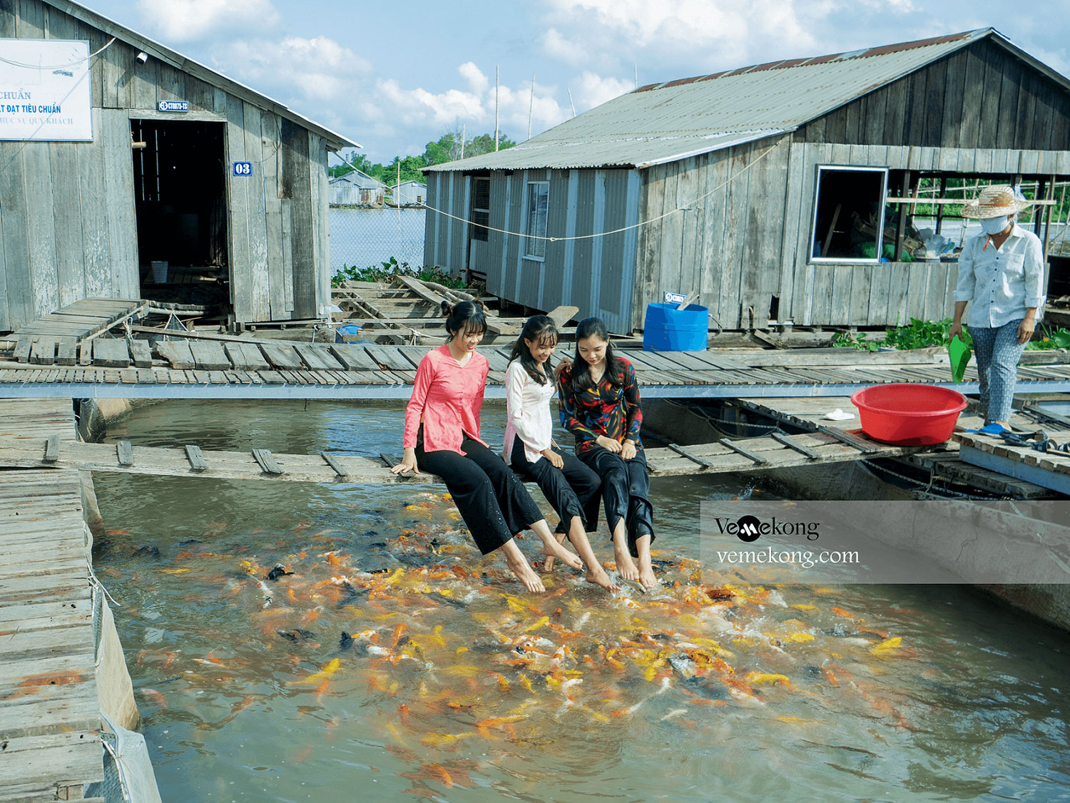 Can Tho Floating Fish Farm – Official Can Tho Visitor Guide