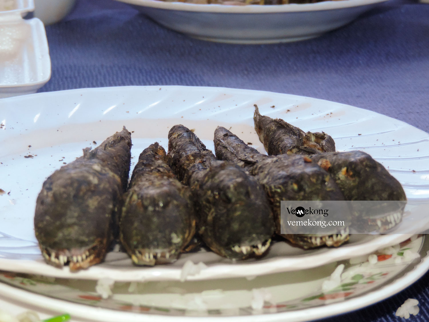 Grilled Mudskipper Fish – Eat Best Food in Ca Mau