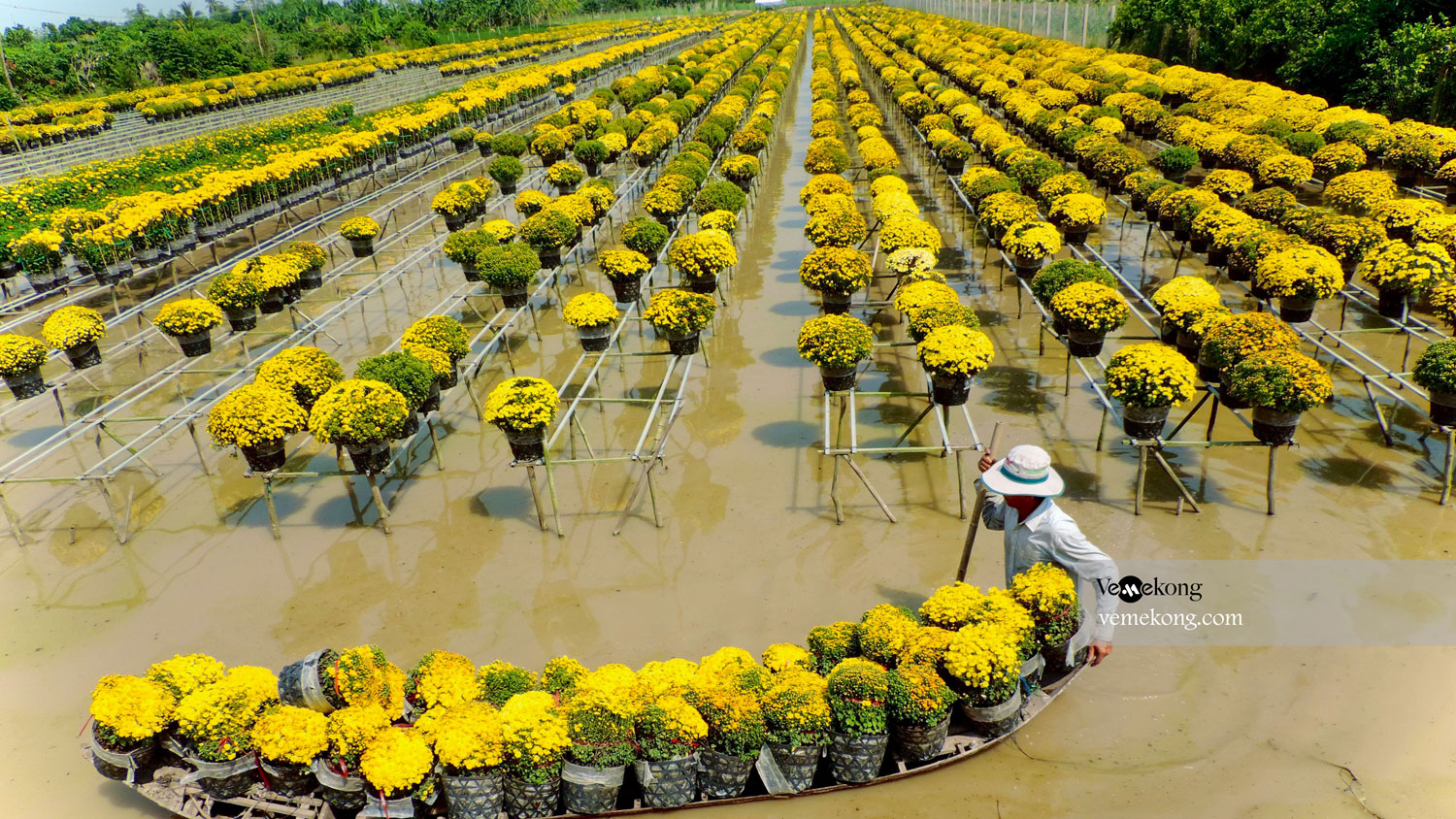 Sa Dec Flower Village – Top Thing to See in Se Dec, An Giang