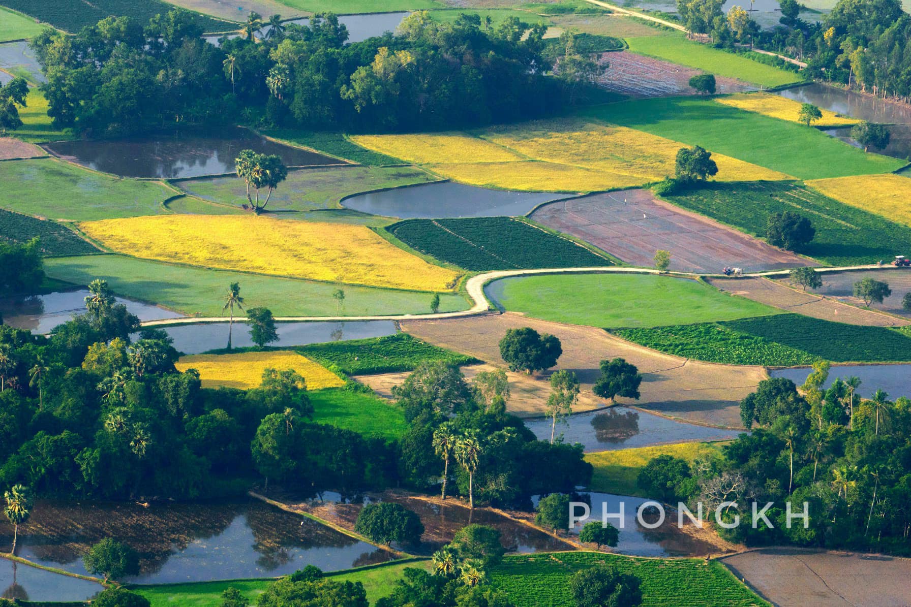 Ta Pa Rice Fields – A great Place for photo shot in An Giang