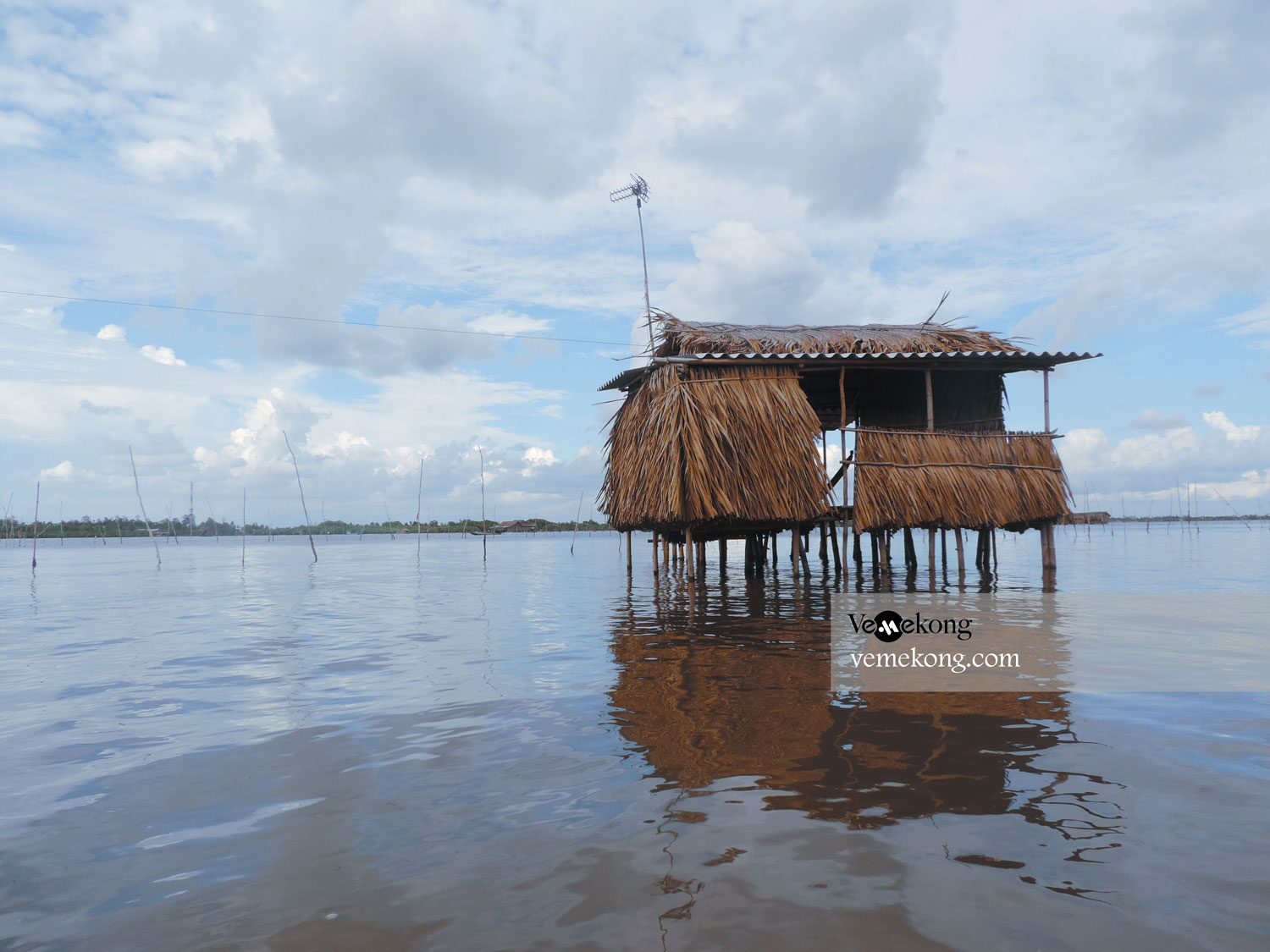 Thi Tuong Lagoon – Ca Mau Hidden Gem