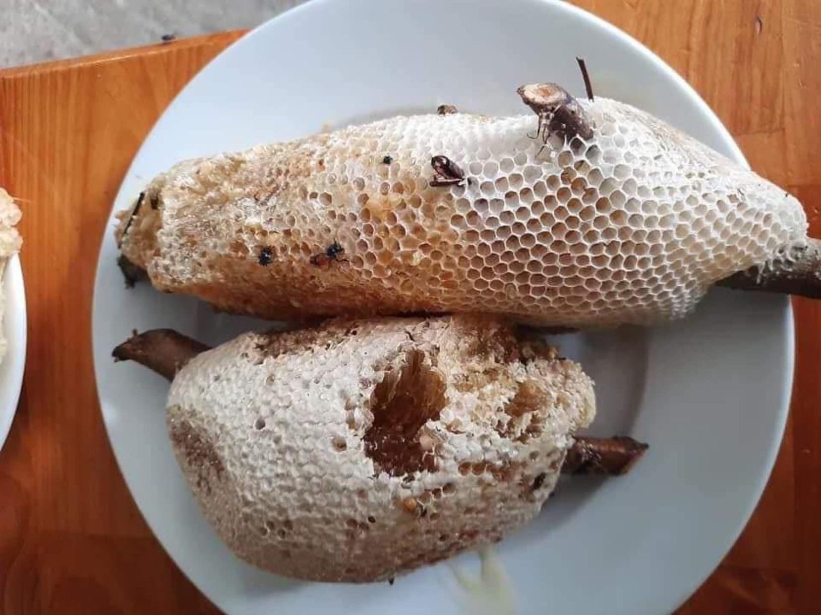 U Minh Ha Forest’s Honey – Eat Best Food in Ca Mau