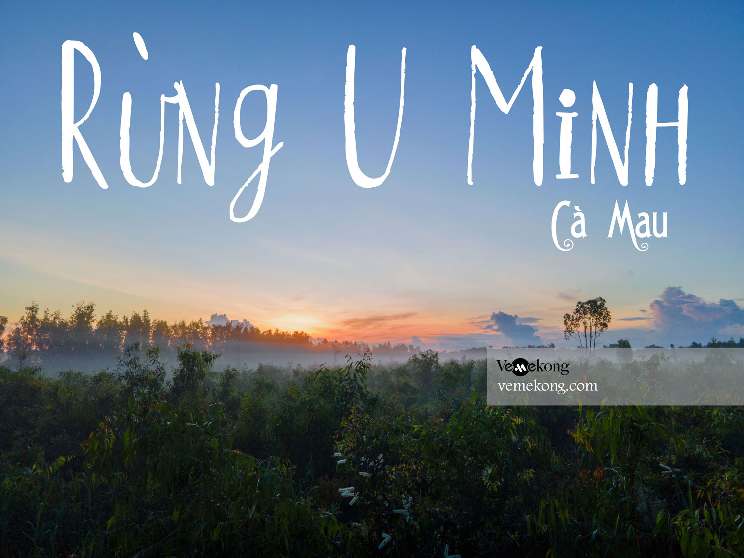 U Minh Forest – Thing do See in Ca Mau & Kien Giang