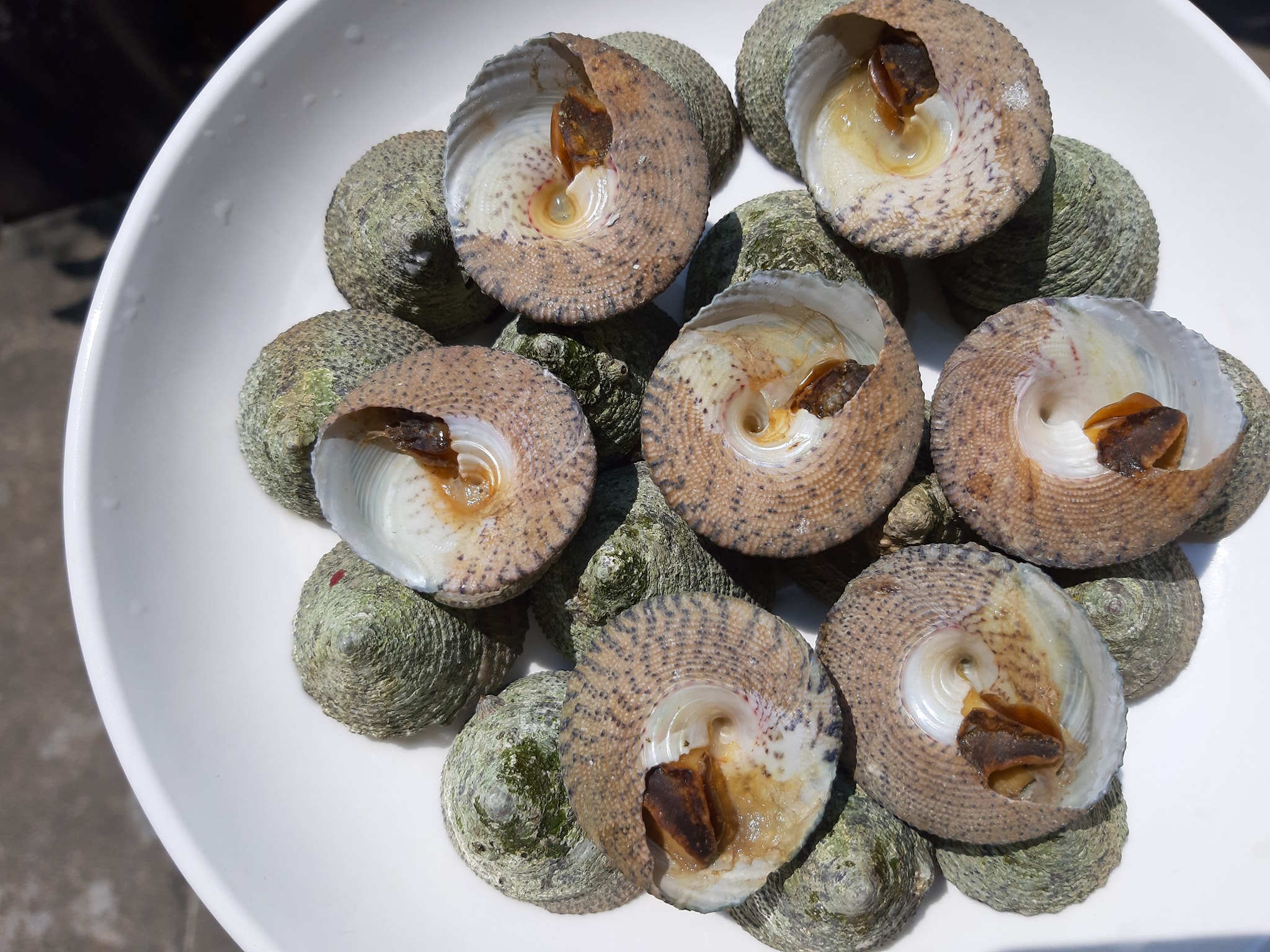 Vu Nang Snail – Eat Best Food in Con Dao